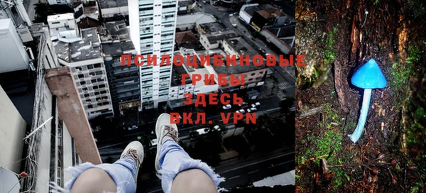 ALPHA PVP Кинешма