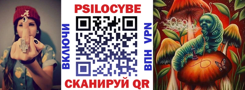 Галлюциногенные грибы Psilocybine cubensis  Купить  Терек 